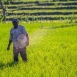 The Green Revolution 2.0: Sustainable Agriculture in India