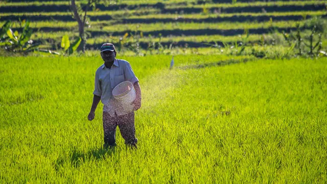 You are currently viewing The Green Revolution 2.0: Sustainable Agriculture in India